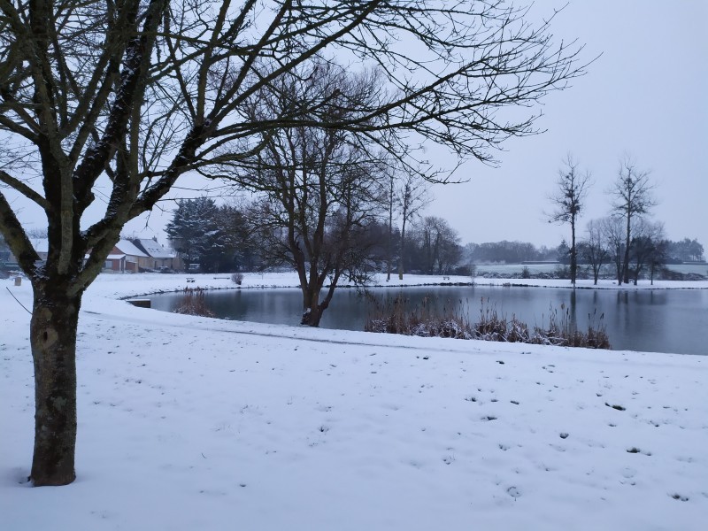 De belles images de l'hiver...