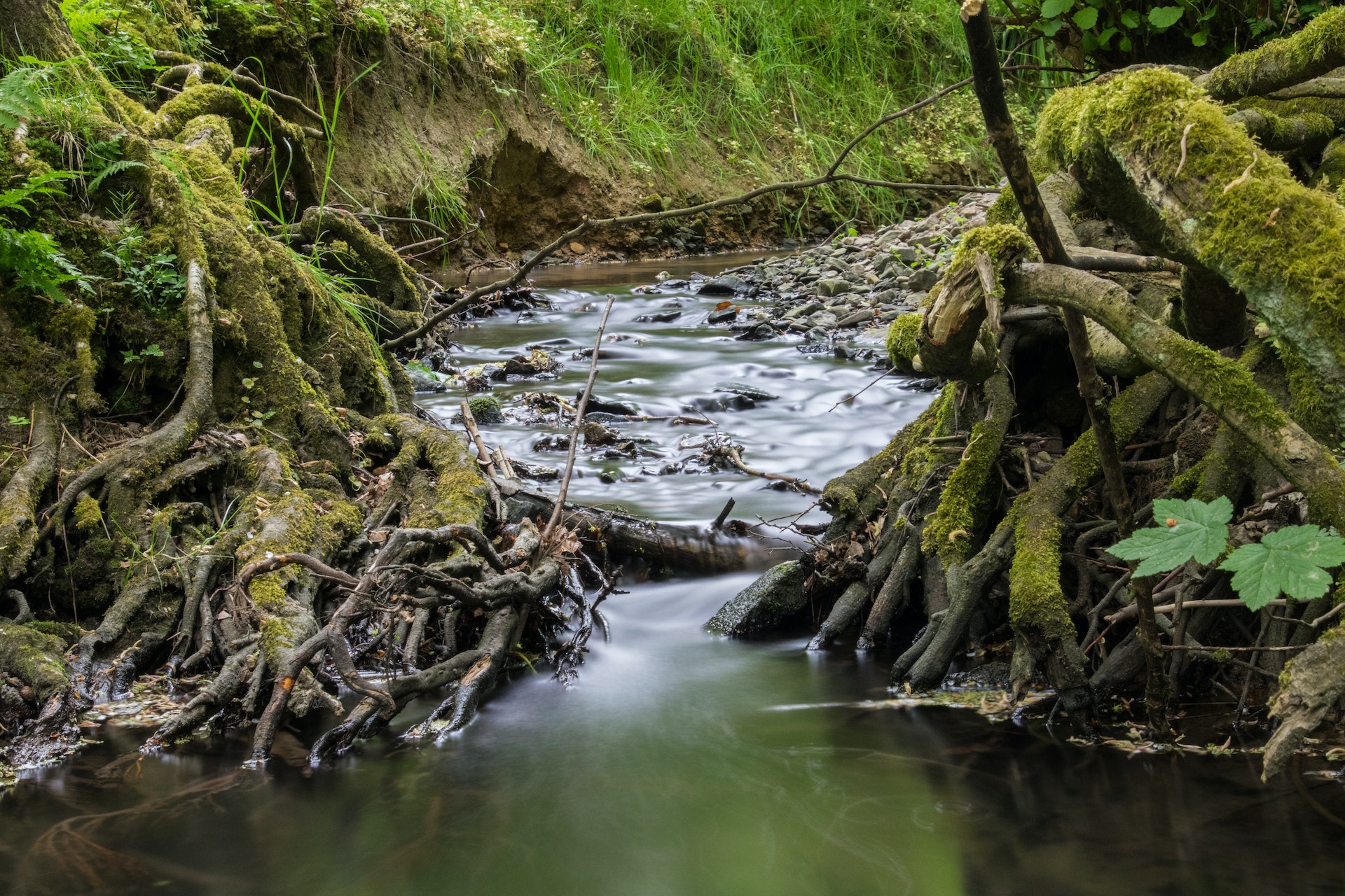 Donnez votre avis sur l'eau...