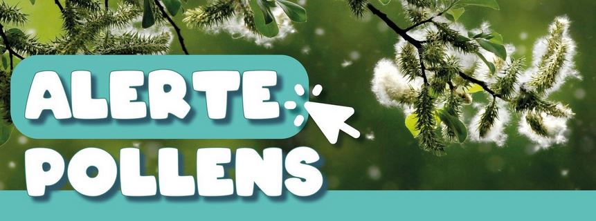 alerte pollens