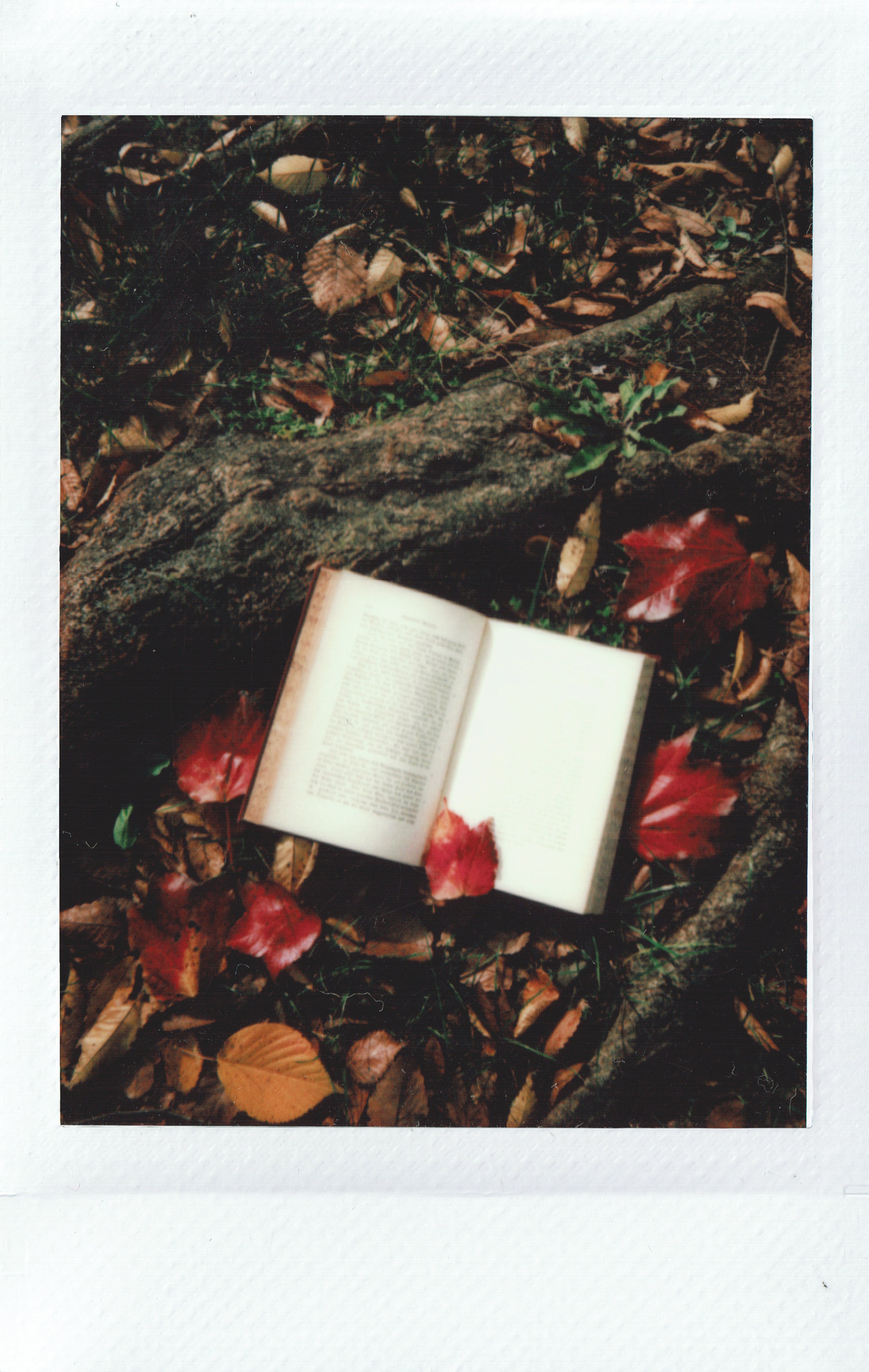 livre