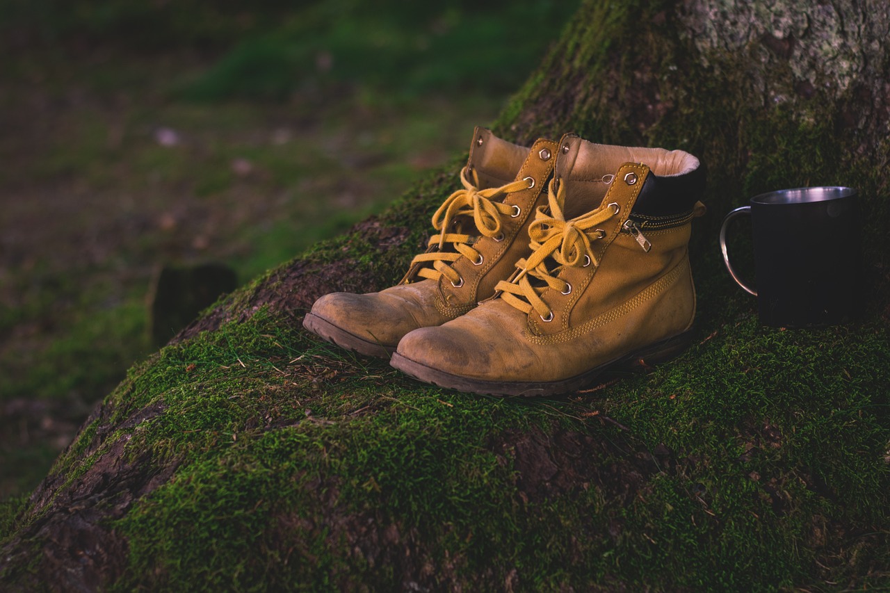 chaussures