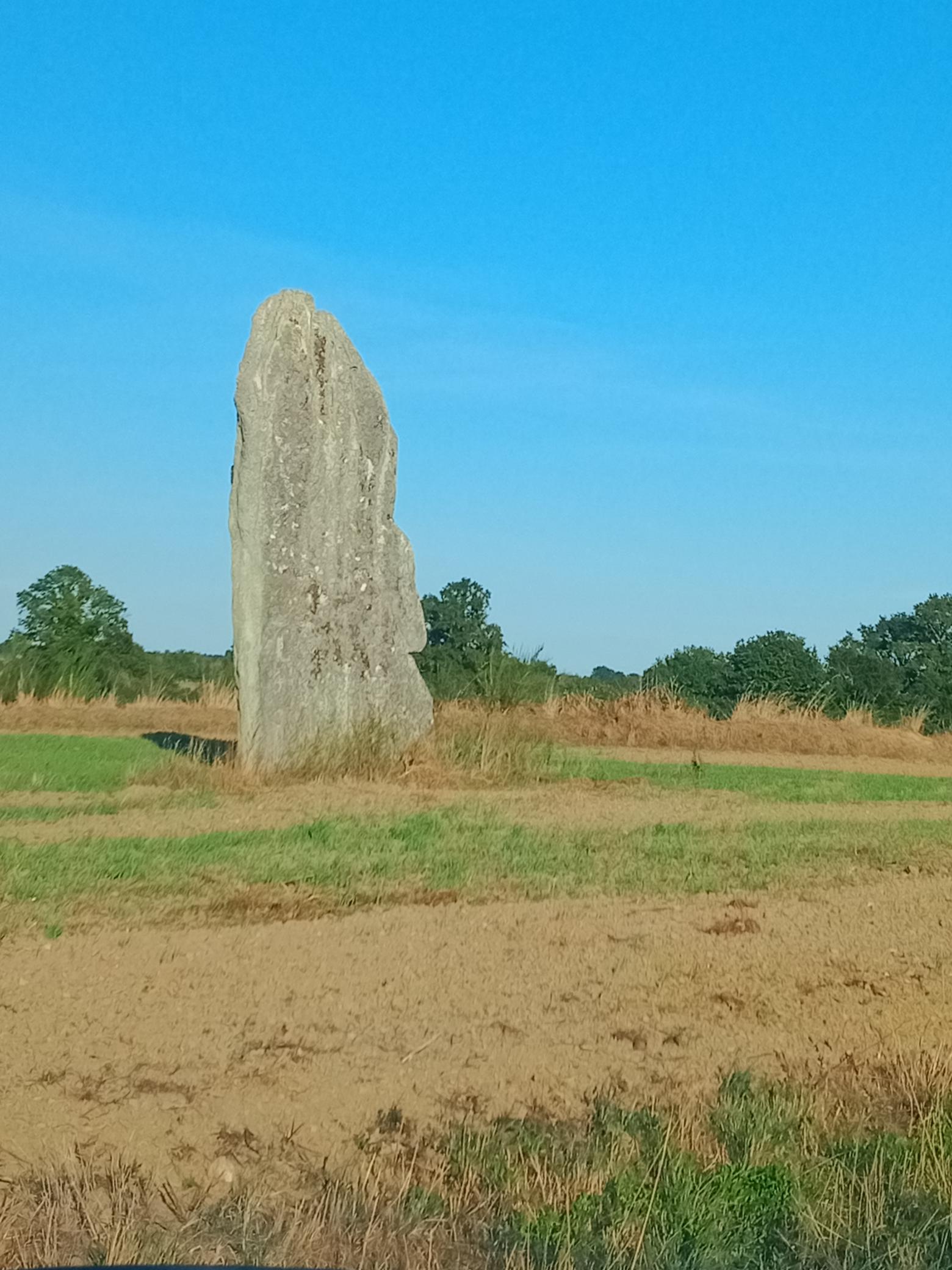 Cette image a été supprimée. Pour des raisons de sécurité, seules les images du domaine local sont autorisées. Image retirée.