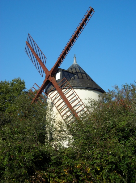 Image retirée.