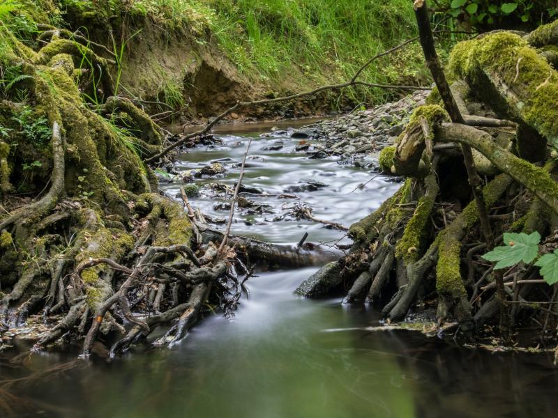 Donnez votre avis sur l'eau...