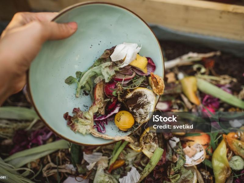 Mémo-Compost : téléchargez-le pour être un expert du compostage !